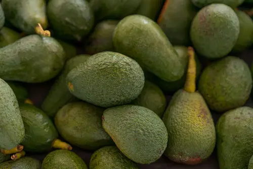 Fruits